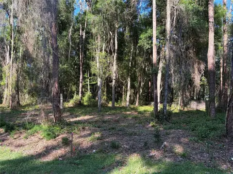 1.22-Acre Corner Lot in BUSHNELL