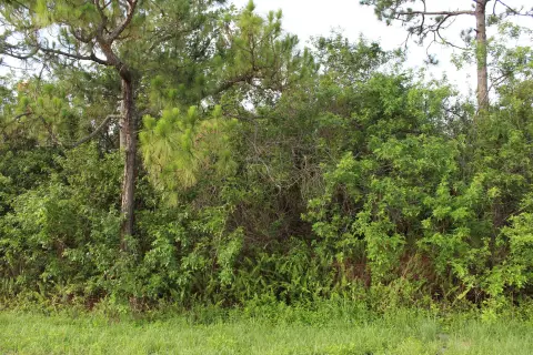 Loxahatchee Corner Lot Opportunity