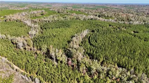 122 Acres Near Eufaula, AL