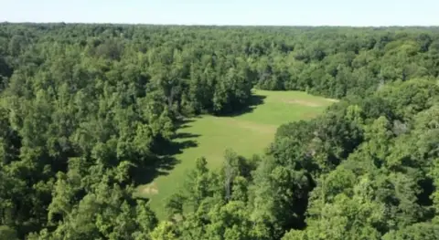 Hunting Land with Private Drive Access