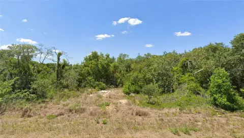 Wooded Lot in Lake Placid