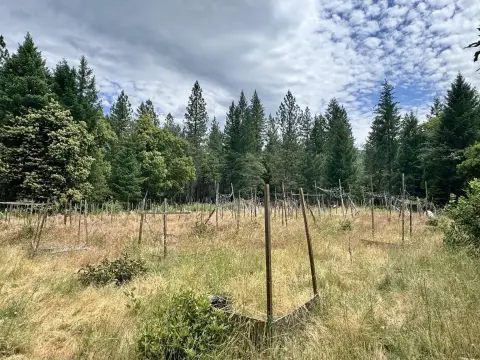 Klamath Riverfront Recreational Land
