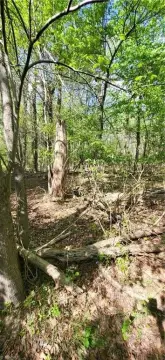 Archdale Land Opportunity