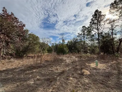 Citrus Springs Buildable Residential Lot