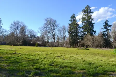 Grants Pass Land Near River