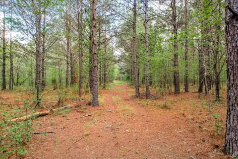 Appling, GA Land Opportunity