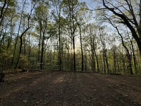 Scenic Land Near Ocoee River