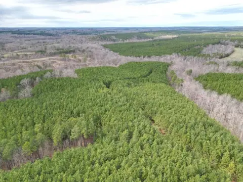 79 Acres of Forestland Investment