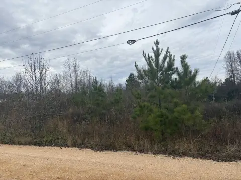 Land Lot in Killen, AL