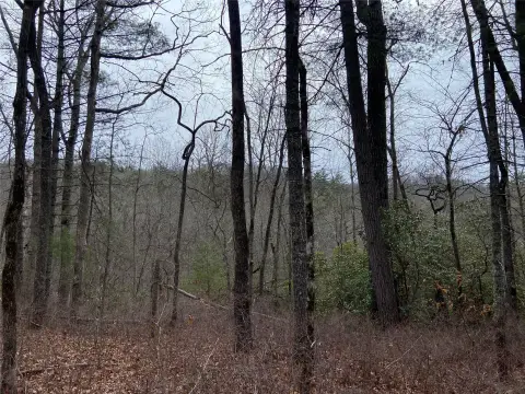 Land in Woods Mountain Neighborhood