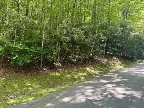 Homesite in Holly Forest Community