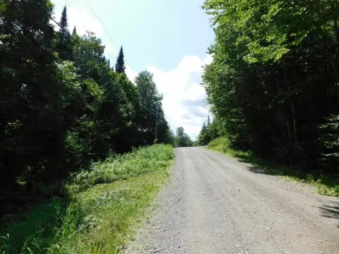 Recreational Hunting Land with Trail Access