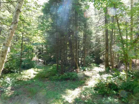 Recreational Hunting Land with Trail Access