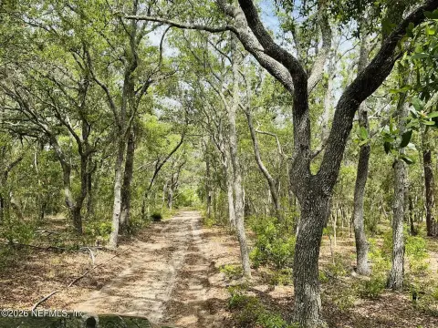 Acreage with Wetlands and Trails