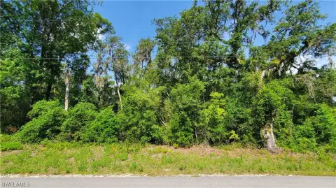 Webster, FL Land Opportunity