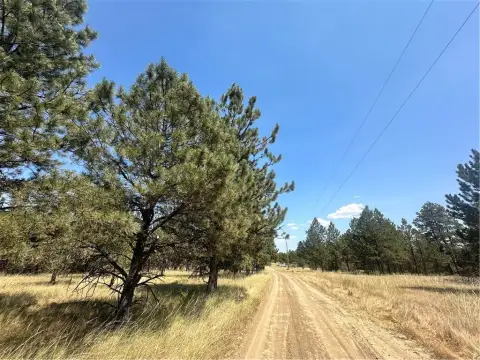 Vacant Land with Meadow and Trees