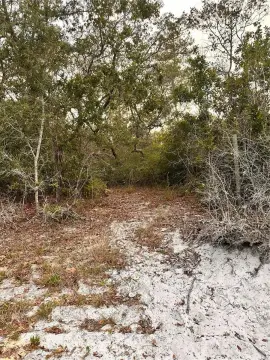 Spacious Lot in Deltona, Florida