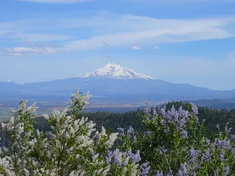 Mountain Land with Gravel Road Access