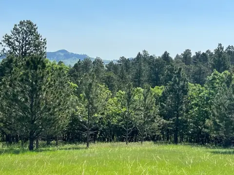 Whitewood Land with Mountain Views