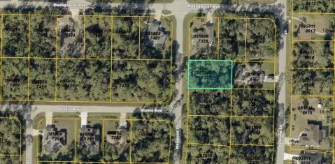 Residential Homesite in North Port