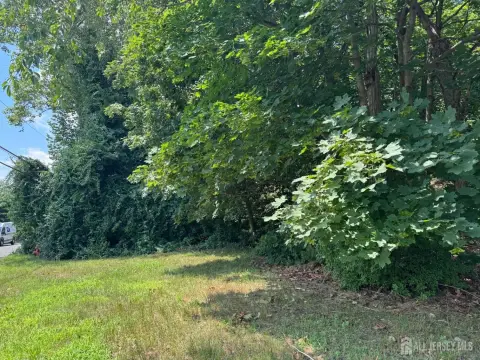 Spotswood Residential Wooded Lot