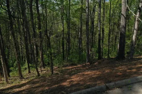 Residential Land in Sweetwater, TN