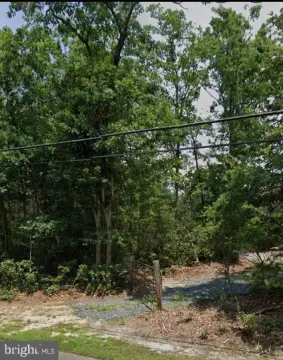 Expansive Land Parcel in Bridgeton