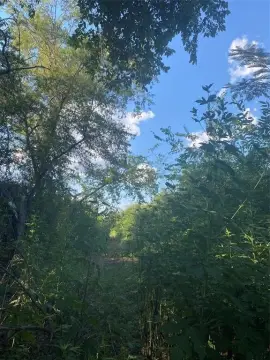 Unimproved Land in Sulphur Springs