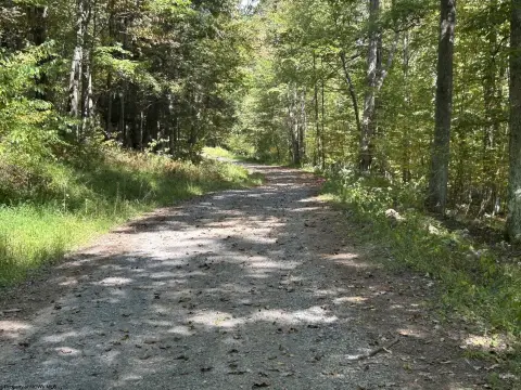 Private Wooded Acreage For Recreation