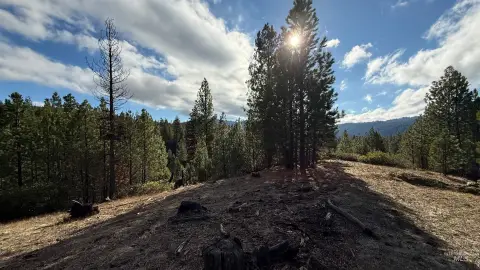 20-Acre Recreational Retreat