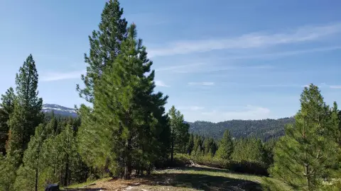 20-Acre Recreational Retreat
