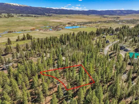 Wooded Resort Recreation Lot