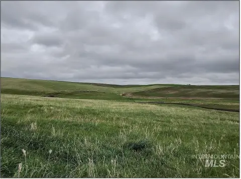 Agricultural Land with County Access