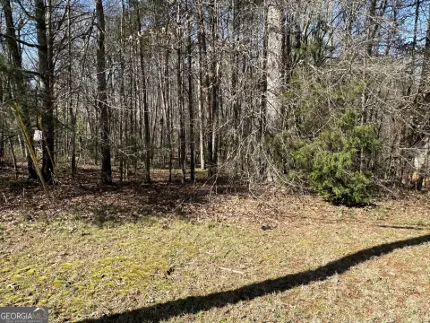 Toccoa, GA Level Corner Lot