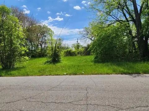 Detroit Land Bank Vacant Lots