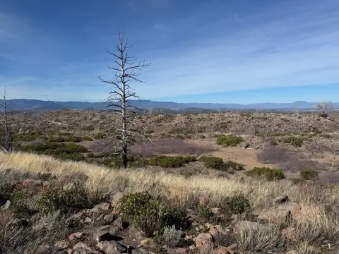 20 Acres near Mt. Shasta