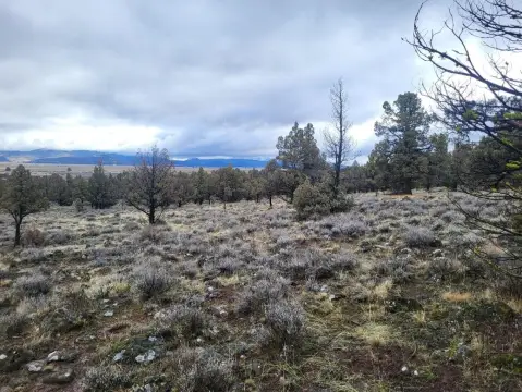 2.6 Acre Lot with Views