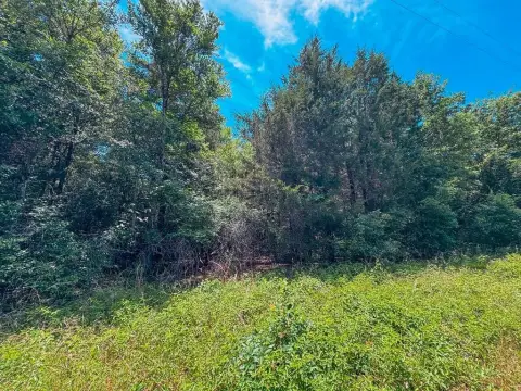 Unimproved Wooded Acreage in Cayuga