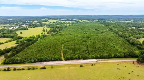 East Texas Land with Frontage