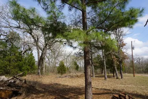 Residential Lots Near Cedar Creek