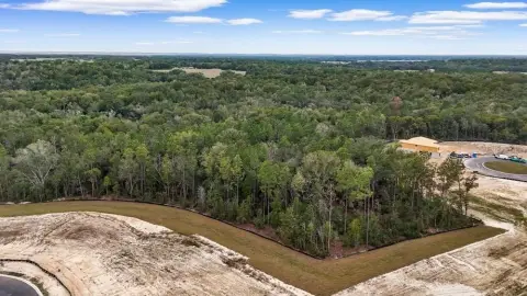 Mount Dora Gated Community Acreage