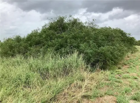 Waterview Waterfront Land Parcel
