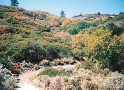 Tehachapi Land with Mountain Views