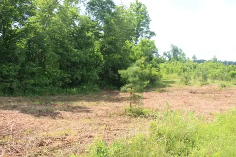 Decatur, TN Building Tract
