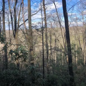 Wooded Homesite in Gated Community