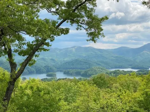 Watauga Lake View Land