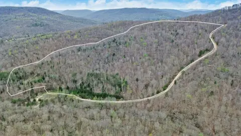 Secluded Wooded Land in Jamestown