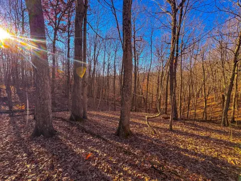 Hunting and Recreation Land Parcel