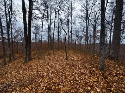 Hunting Land with Small Stream