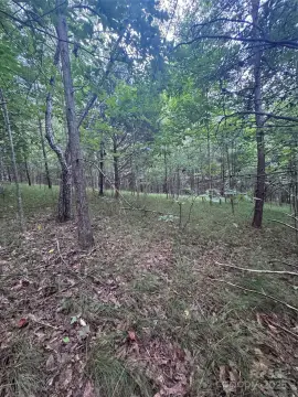 Wooded Lot in Gated Community